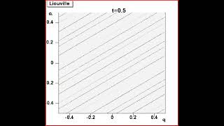 Push forward evolution of a probability measure in the linear cat map