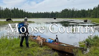 Moose Country - An Algonquin Park Canoe Story