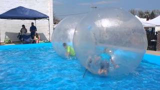 Sea Hamsters