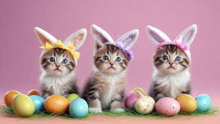 Adorable Easter Kittens | Cute Easter Cats | Happy Easter Cute Kittens | Adorable Kittens #cutecat