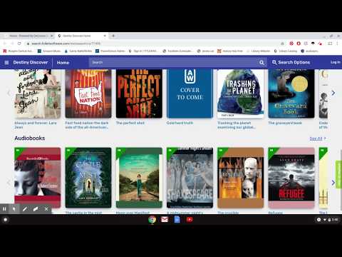 Borrowing Ebooks &