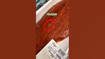 Tuna Fish Parasites!