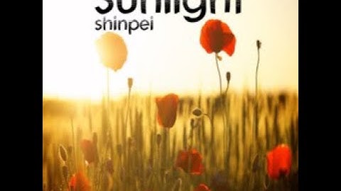 Sunlight // shinpei (DDR XXTREME ESP + CSP charts)