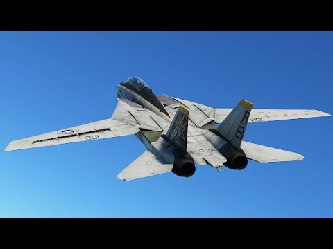 F-14 Tomcat in 2023