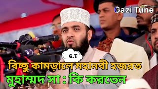 বিচ্ছু কামড়ালে মহানবী হজরত মুহাম্মদ সা : কি করতেন। মিজানুর রহমান আযহারী ওয়াজ ২০২৩। @gazitune14222