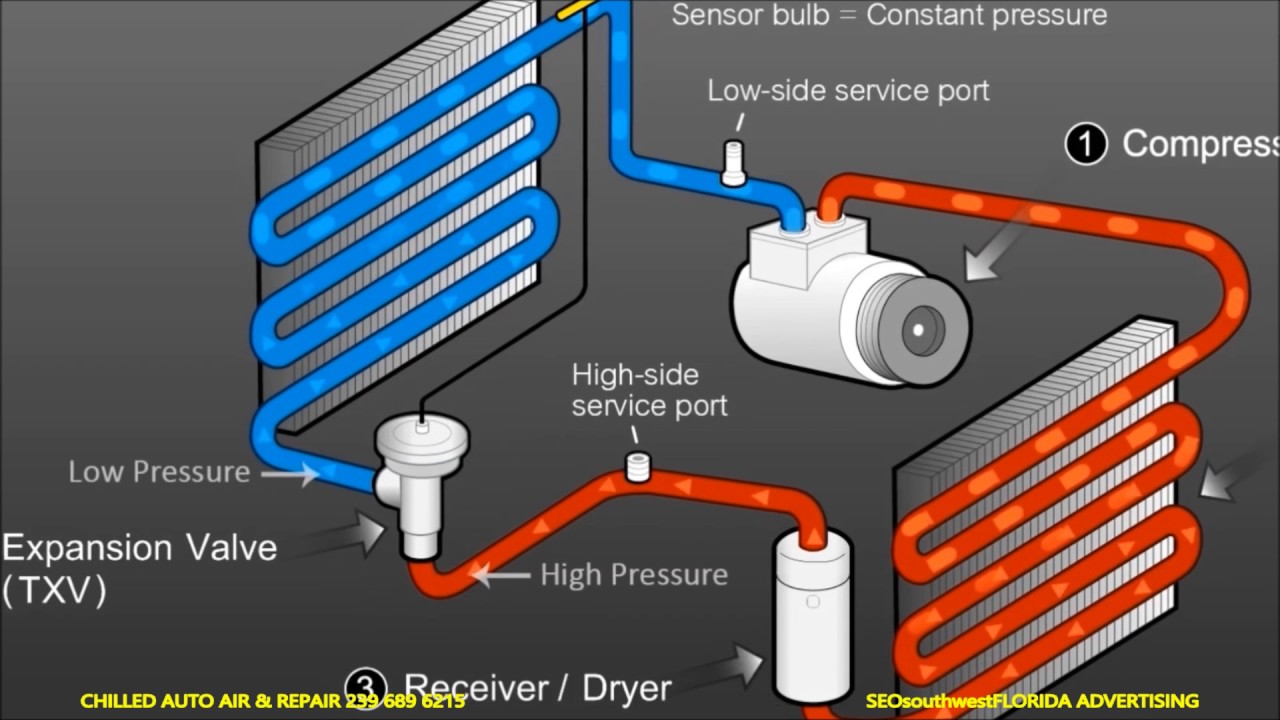 Chilled Auto Air & Repair 12700 McGregor Blvd. Ft. Myers, Florida USA
