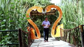 Lluvias De Uncion Y Poder Primicia 2017 Full Hd Adios Niway Vol 9