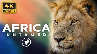 Experience a cinematic journey of Africa's most extraordinary animals in stunning 4k Ultra HD by Relax Earthfully 3,530 views 1 year ago 10 minutes, 1 second