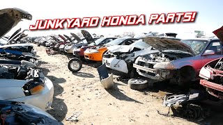 I found a GOLD MINE for Honda Parts | Junkyard Vlog