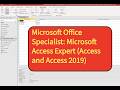Microsoft Office Specialist: Microsoft Access Expert 2019 (Reports)