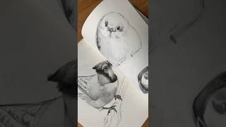 One year, one sketchbook filled! #graphite #graphitedrawing #asmr #sketch #sketchbook