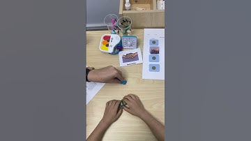 In this video, watch our learner when he can do object imitation independently.