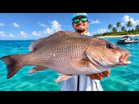 72 Hrs to Catch Every Fish in Tampa... (Snook, Redfish, Grouper, Trout, Snapper, Tarpon, Pompano)