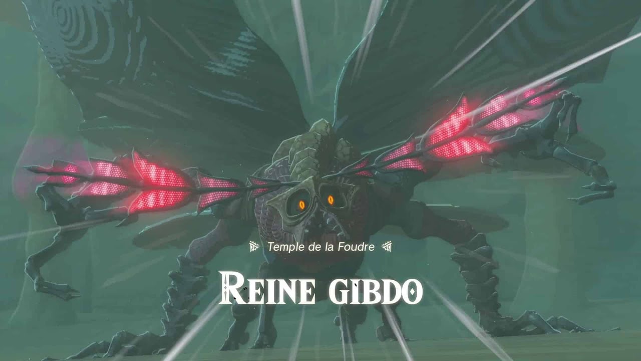 qu-est-ce-que-c-est-de-cette-b-te-playthrough-totk-rediff-youtube