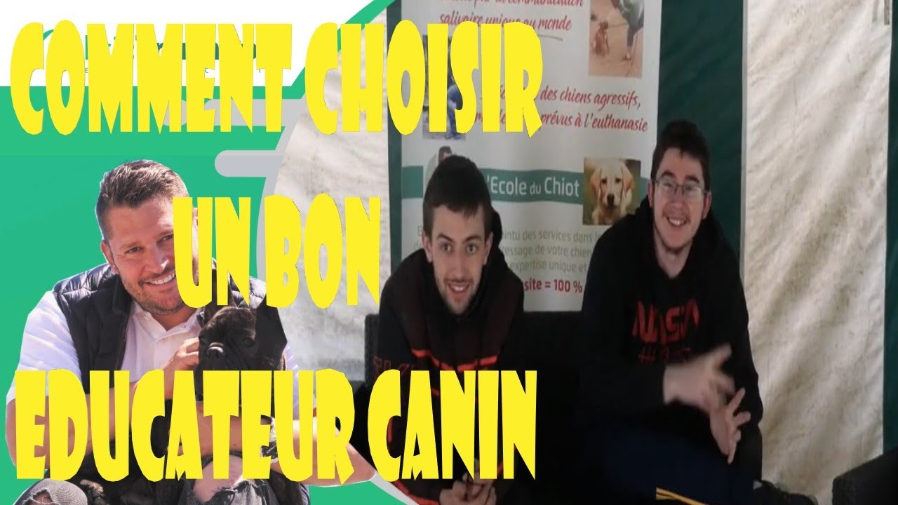 COMMENT CHOISIR UN BON EDUCATEUR CANIN POUR DRESSER UN CHIOT YouTube