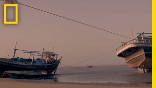 A Floating Chop Shop | Lawless Oceans