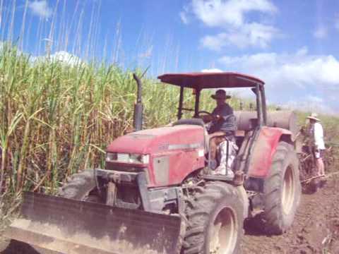 Sugar Cane planting Proserpine Queensland Australia