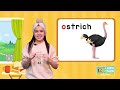 تعل م اللغة الإنجليزية للأطفال الدرس 19 حرف Oo Learn English For Kids Letter Oo Lesson 19 