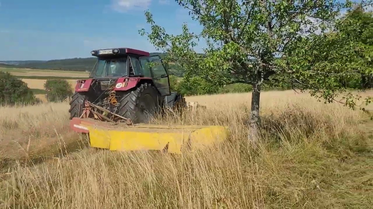 Case Maxxum 5140 mit Front und Heckmähwerk beim Heu mähen