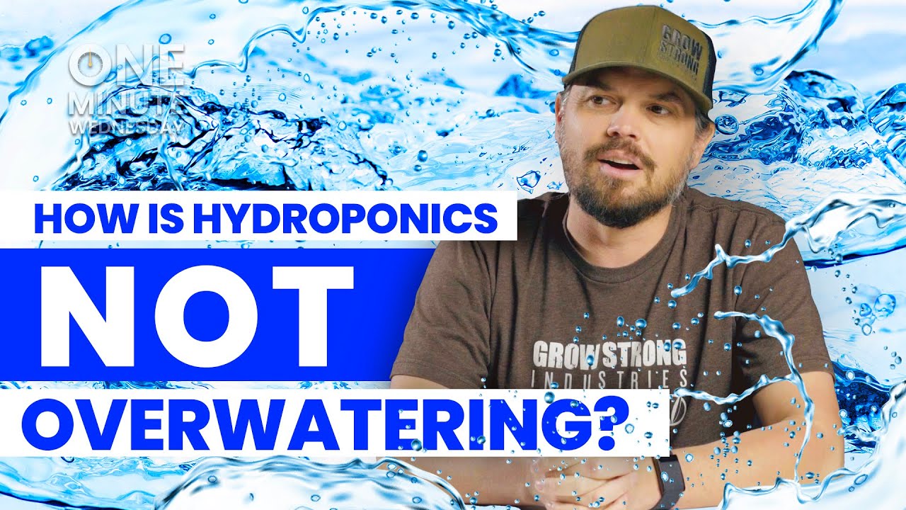 How is Hydroponics NOT Overwatering? OMW 16 YouTube