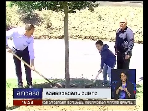 13 ივნისს დაღუპულთა ხსოვნის პატივსაცემად, სიმბოლურად, მარადმწვანე ხეები დაირგო