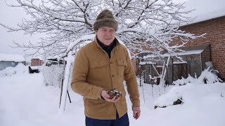 картинка: Озима картопля