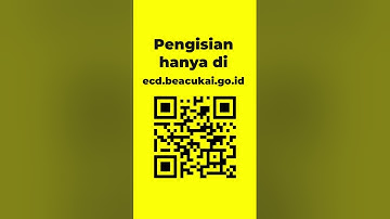 Tutorial Isi E-CD (Electronic Customs Declaration). Jika Pergi Ke Luar Negeri Harus Tau!