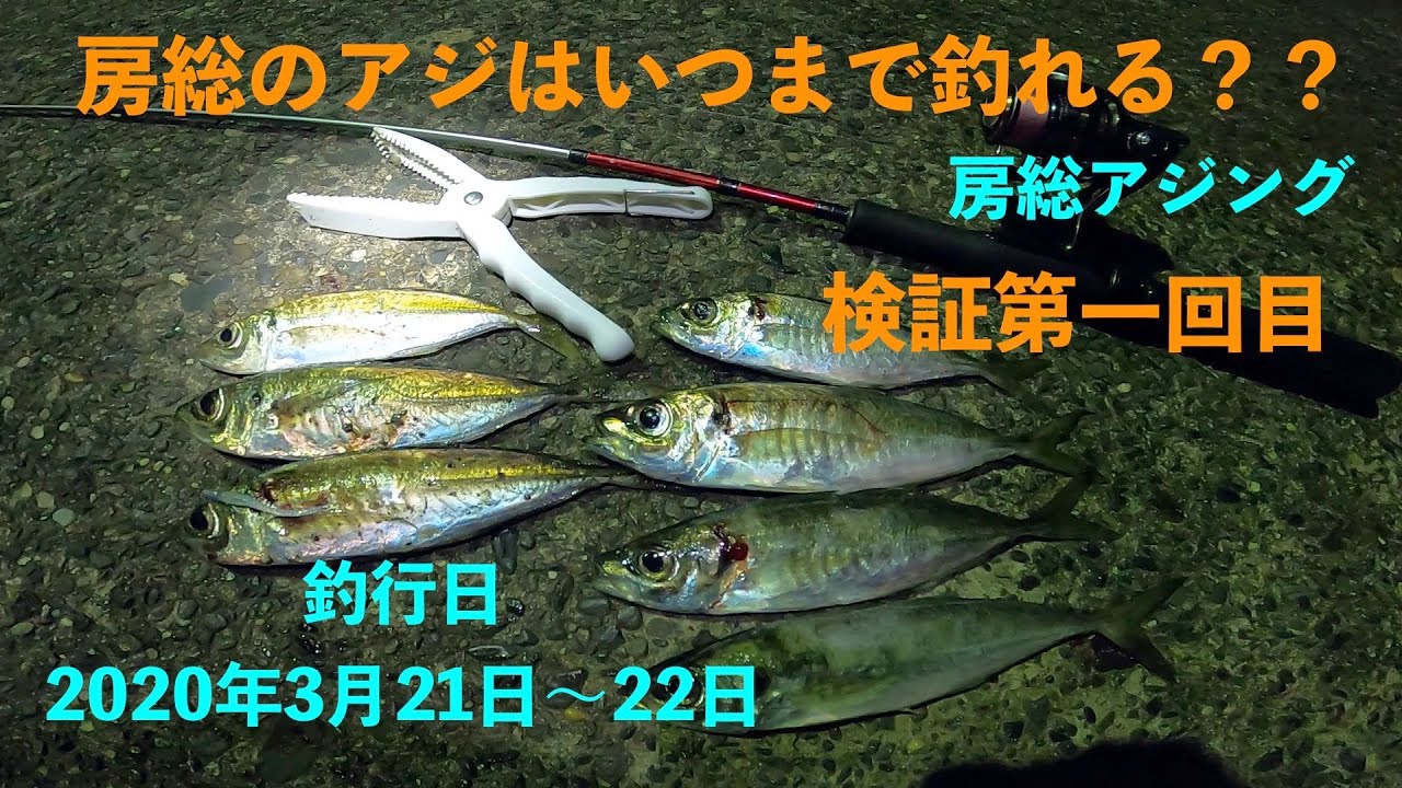 千葉の釣り 年房総アジング アジはいつまで釣れるのか 検証第1回目 3月21日22日南房アジング Youtube