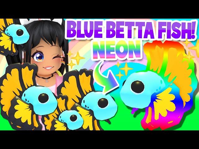 Blue Betta Fish Adopt Me