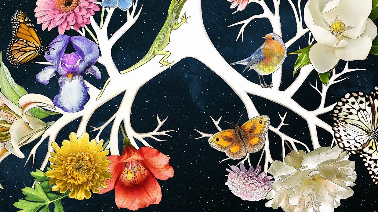 FIVE FEET APART Review & Explaining Cystic Fibrosis YouTube