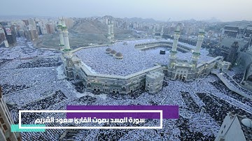 سورة المسد بصوت القارئ سعود الشريم