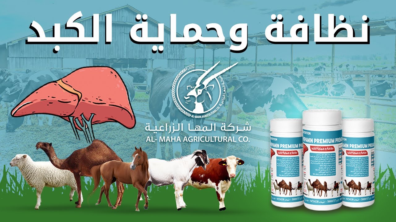 نظافة وحماية الكبد - مكمل غذائي للحيوانات