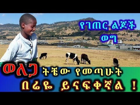 ወለጋ ትቼው የመጣሁት በሬዬ ይናፍቀኛል ልጅነት ውስጥ ሆኖ በልጅነት ትዝታ መንገላታት የገጠር ልጆች ወግ Tossa Tube ድንቅ ልጆች 