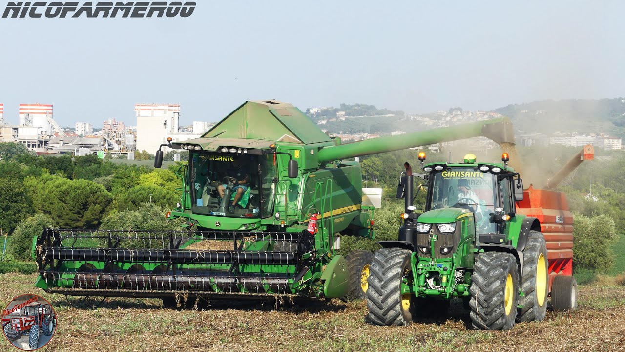 HARVEST SEASON 2K23 | WHEAT & FIELD BEAN | JOHN DEERE W550 + JOHN DEERE 6195M | F.lli GIANSANTE