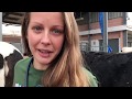 TuBeBOVIS: El síndrome de la vaca caída - Proyecto Veterinaria Vlog 2018