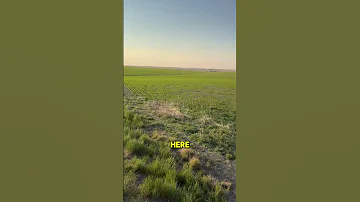 When The Difference Is Obvious 