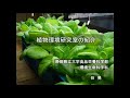 静岡県立大学 食品栄養科学部 環境生命科学科 植物環境研究室 研究内容の紹介（高校生・一般向け）