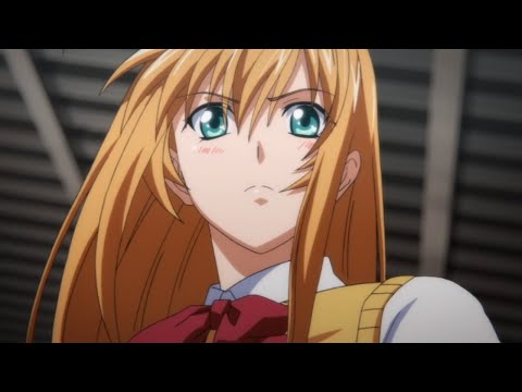 AMV 真 一騎当千 CLIMAX BREAKER SHIN IKKITOUSEN