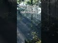 Atrract wealth - health & happiness