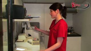 PetVet.ie - Blood Test Procedure - Pet Vet Wexford