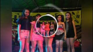 BUNGA EDELWIS (Cover by LULU BAND Bengkayang)