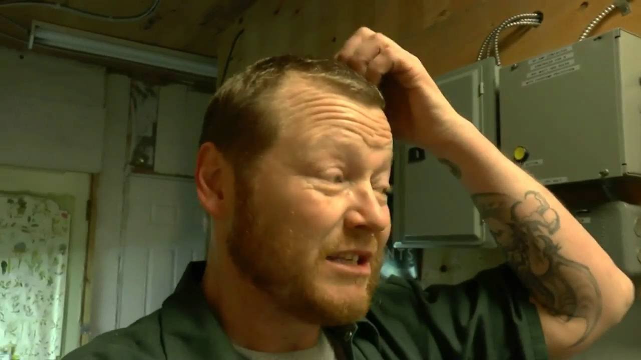 Does High Humidity & CO2 Kill Spider Mites ?