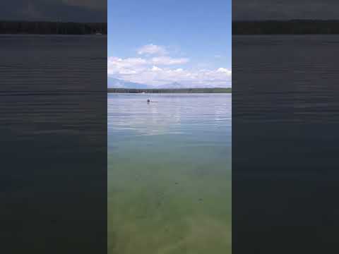 озеро Бакани часть2#лето#отдых#купание#север
