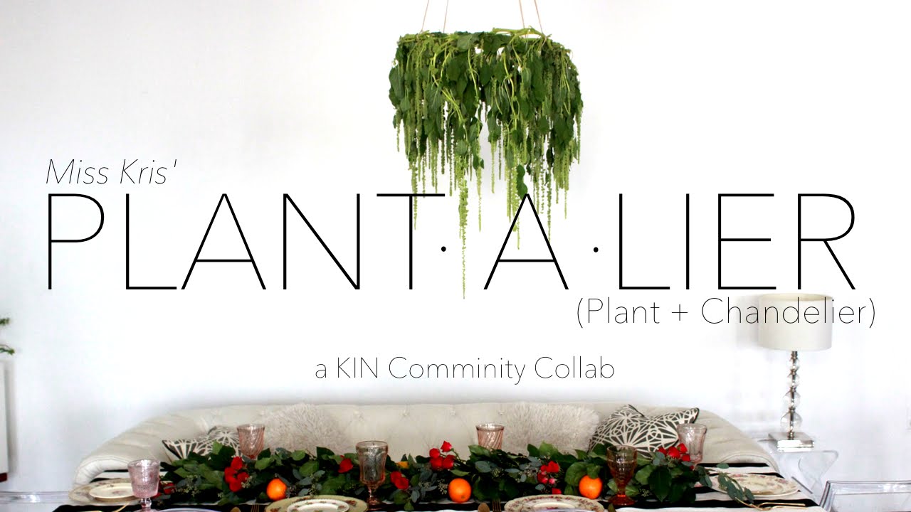 Diy Plant A Lier Chandelier Plus Kin Community Series Diy Plant A Lier Chandelier Plus Kin Community Series Announcement You