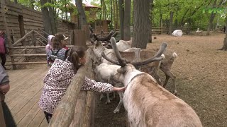 В Самарской области по приглашению губернатора Дмитрия Азарова отдыхают 100 детей из Оренбурга
