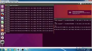 Man in the middle attack - mitmproxy