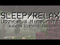 DozySpud: Rainy Forest Build