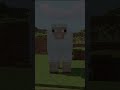 Minecraft Edit Be Like ..🥀💝