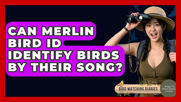 Can Merlin Bird ID Identify Birds By Their Song? - Bird Watching Diaries