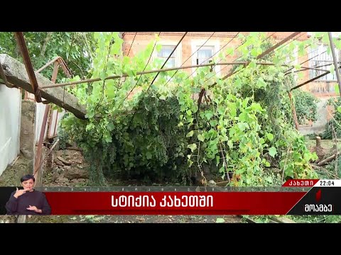 სტიქია კახეთში - გურჯაანში ძლიერი ქარისა და წვიმის შედეგად მიყენებულ ზარალს ითვლიან